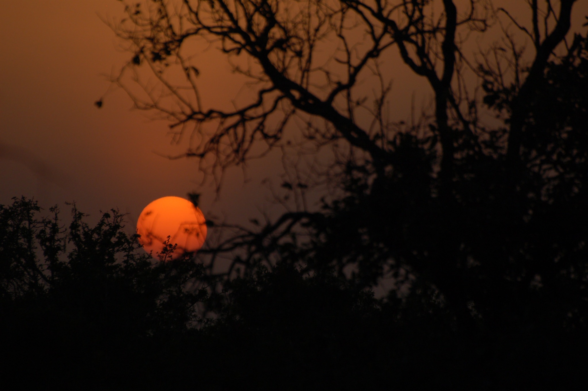5-day Diamond Package For Tanzania Wilderness & Culture