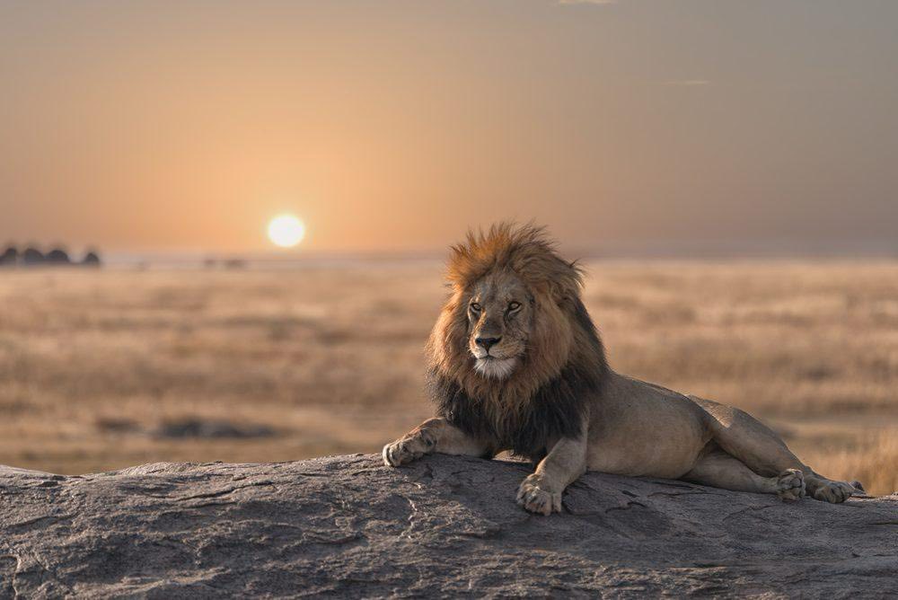 9 Day Wilderness Exploration And Zanzibar Beach Holiday